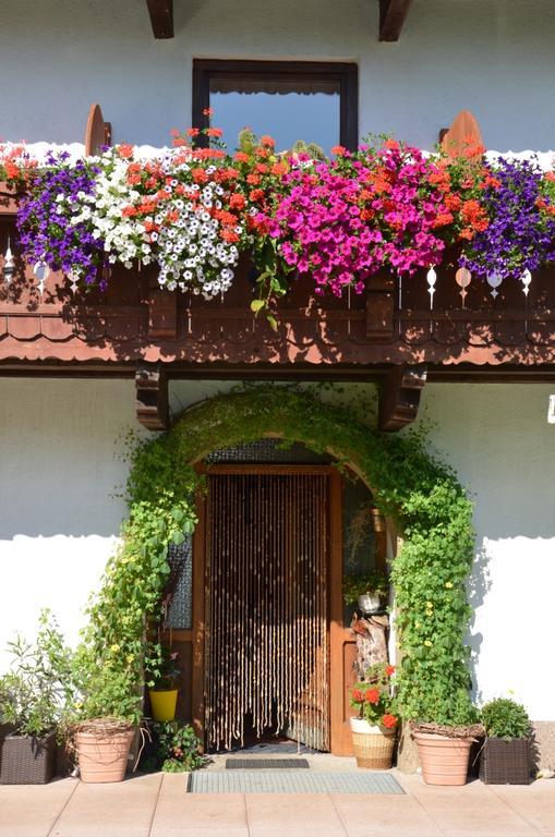 Ferienwohnung Hinterankerwald Walchsee Exterior foto