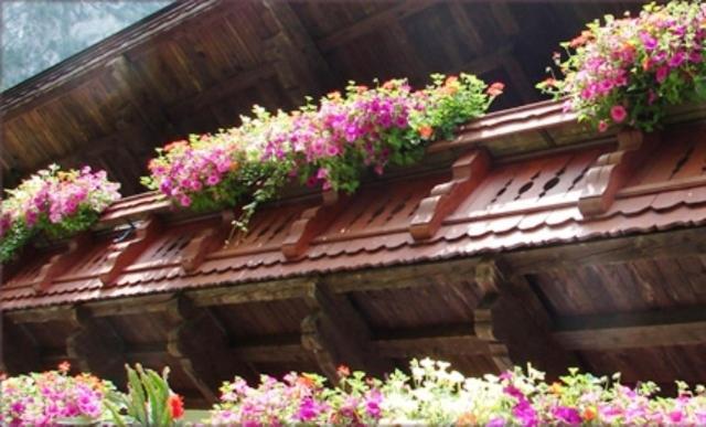 Ferienwohnung Hinterankerwald Walchsee Exterior foto