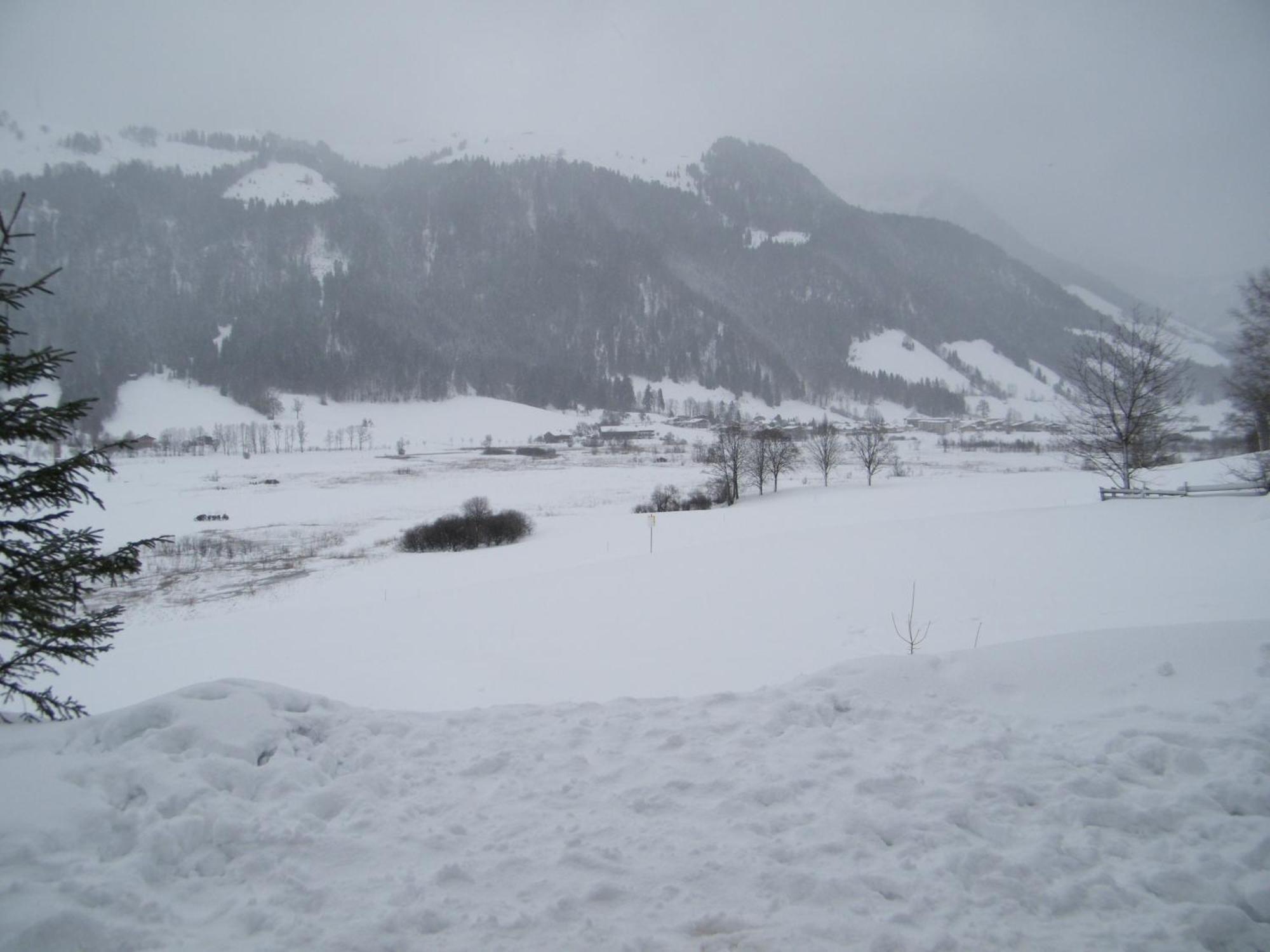 Ferienwohnung Hinterankerwald Walchsee Exterior foto
