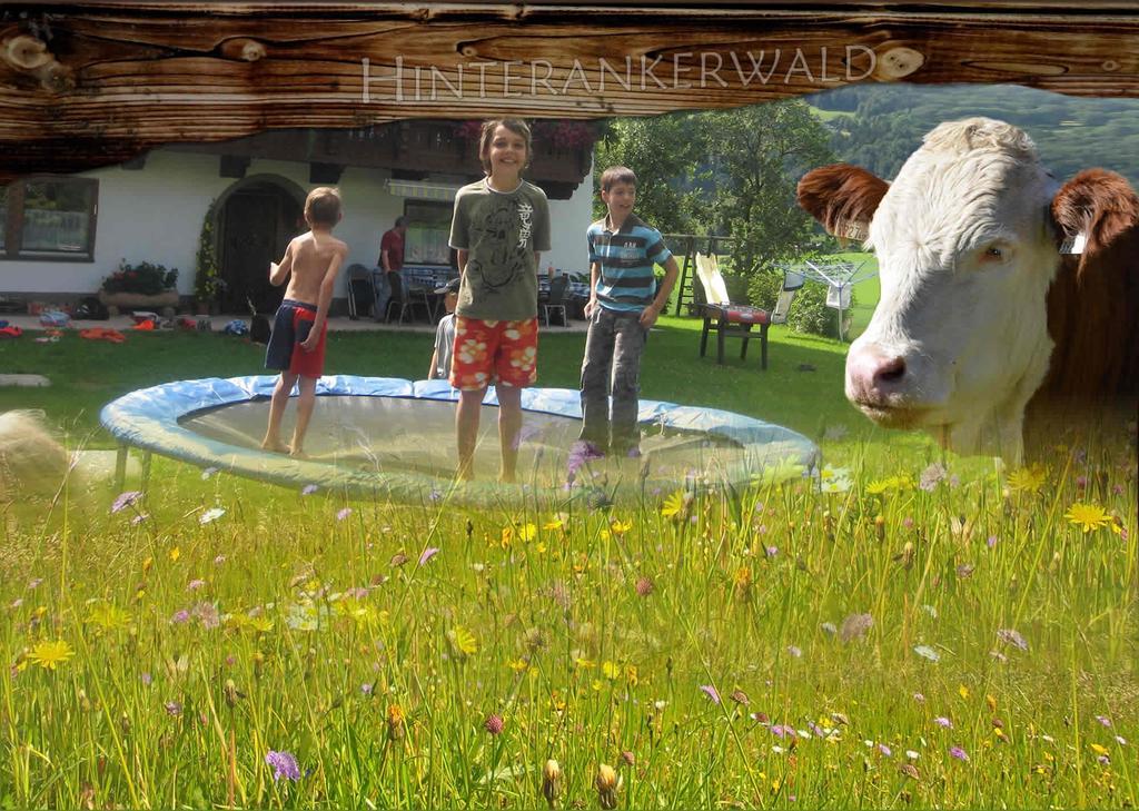 Ferienwohnung Hinterankerwald Walchsee Exterior foto
