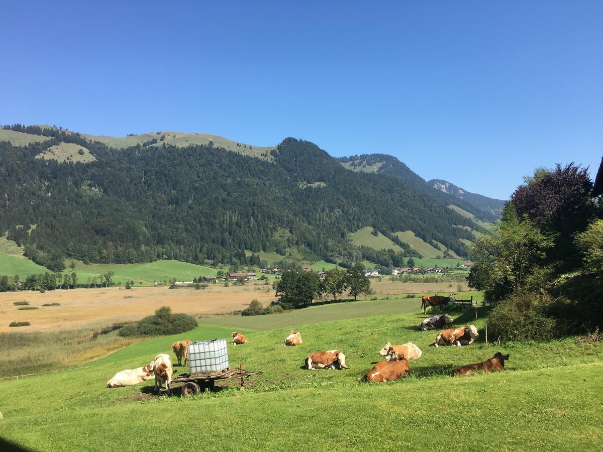 Ferienwohnung Hinterankerwald Walchsee Exterior foto